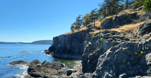 Rocky coastline with trees, clear blue water, and a bright blue sky on a sunny day.