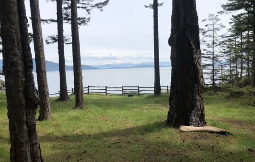 A serene view of a lake framed by tall trees and a wooden fence, with distant mountains under a cloudy sky.