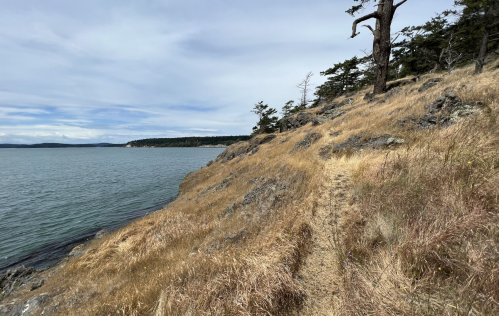 A coastal path along a rocky shoreline with dry grass and trees, overlooking calm blue water under a cloudy sky.