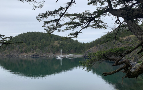 A serene landscape featuring a calm bay, a sailboat docked, and lush green hills reflected in the water.