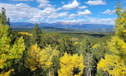 A scenic view of mountains and valleys, with vibrant yellow trees under a blue sky with fluffy clouds.