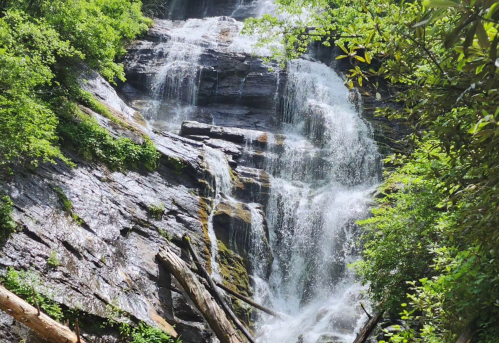 A cascading waterfall flows over rocky cliffs, surrounded by lush green foliage and fallen logs.