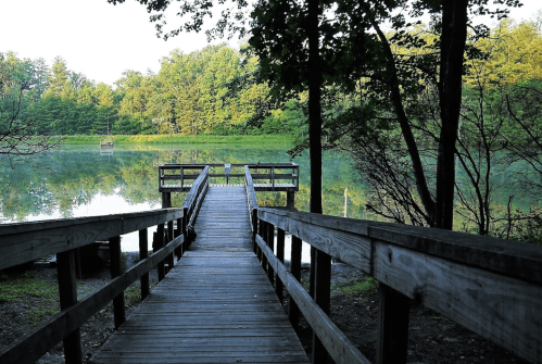 A wooden walkway leads to a calm lake surrounded by lush green trees.