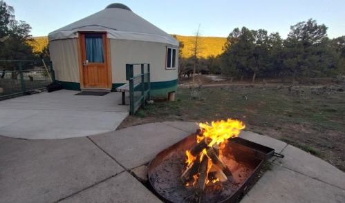 A cozy yurt with a wooden door beside a fire pit, surrounded by trees and open land.