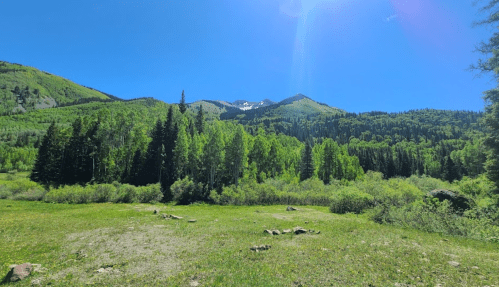 Lush green landscape with trees and mountains under a clear blue sky, featuring snow-capped peaks in the distance.