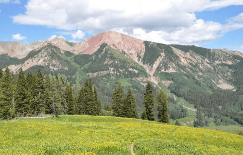 A scenic mountain landscape with colorful peaks, lush green forests, and a field of yellow flowers under a blue sky.