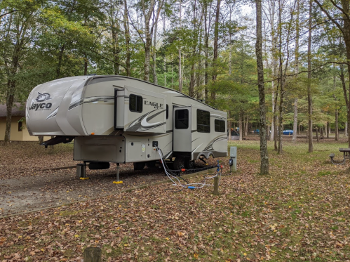 A parked RV in a wooded area with fallen leaves, surrounded by trees and a picnic table nearby.