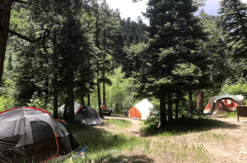 A serene camping scene with several tents nestled among tall trees in a lush green forest.