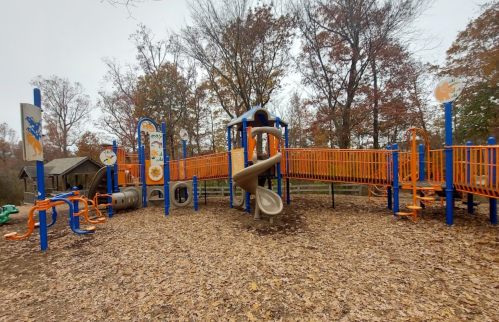 Colorful playground with slides and climbing structures, surrounded by autumn leaves and trees.