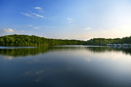 A serene lake surrounded by lush green trees under a clear blue sky, reflecting the landscape on its calm surface.