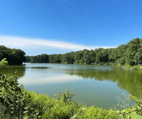 A serene lake surrounded by lush greenery under a clear blue sky.