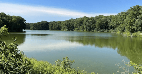 A serene lake surrounded by lush greenery under a clear blue sky.