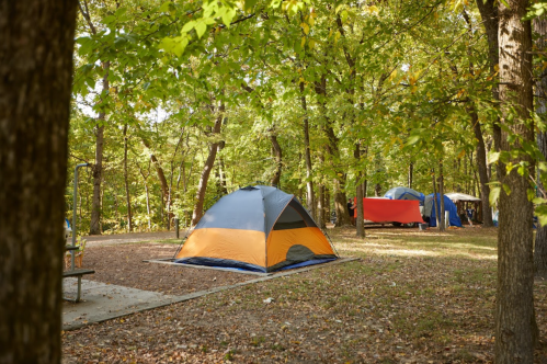 A campsite with a blue and orange tent surrounded by trees and other tents in a wooded area.