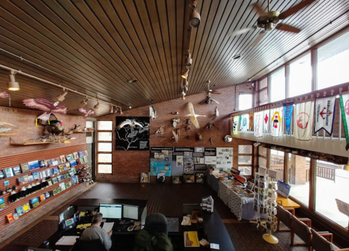 A cozy library interior with wooden ceilings, bookshelves, and decorative banners, featuring a person at a desk.