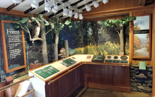 Exhibit showcasing a forest theme with informational panels, nature graphics, and a display area in a wooden setting.