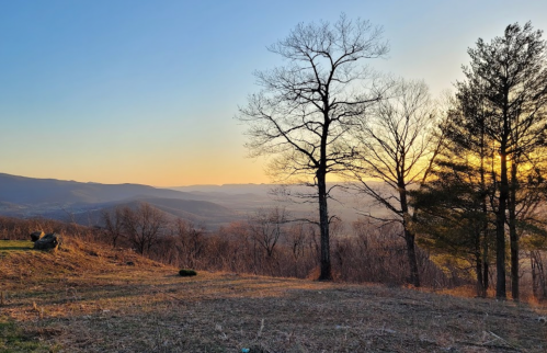 A serene landscape at sunset, featuring bare trees and rolling hills in the distance under a colorful sky.