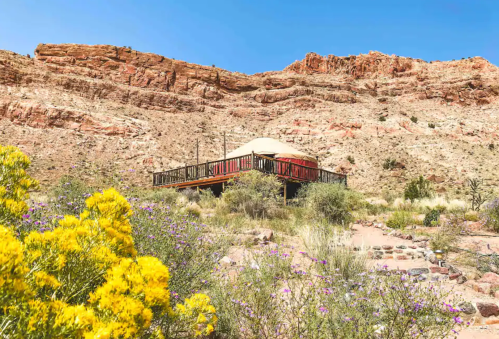 A yurt on a wooden deck surrounded by colorful wildflowers and rocky cliffs under a clear blue sky.