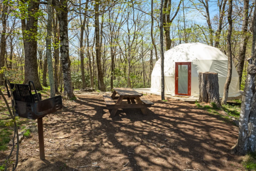 A white dome tent in a wooded area, with a picnic table and a grill nearby, surrounded by trees and sunlight.