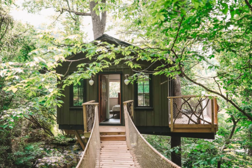 A charming treehouse nestled among lush green trees, connected by a wooden walkway.