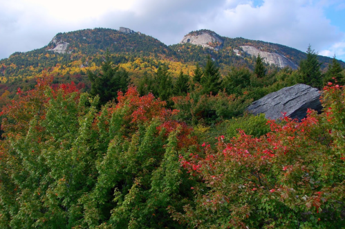 Vibrant autumn foliage in the foreground with rocky mountains and a cloudy sky in the background.
