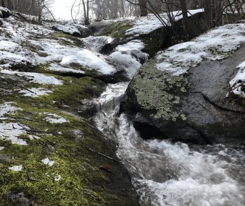 A small stream flows over moss-covered rocks, surrounded by trees and patches of snow.