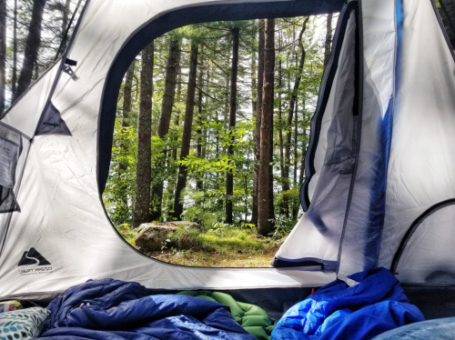 View from inside a tent, showcasing lush green trees and a serene forest landscape outside.