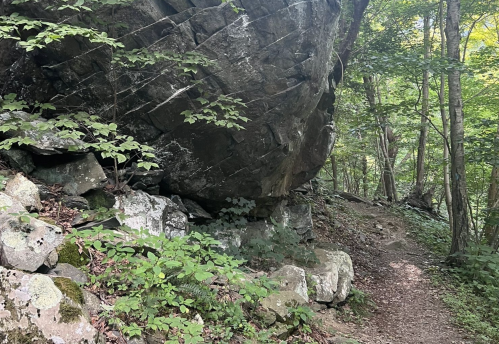 A rocky outcrop beside a narrow trail, surrounded by lush green foliage and trees in a forested area.