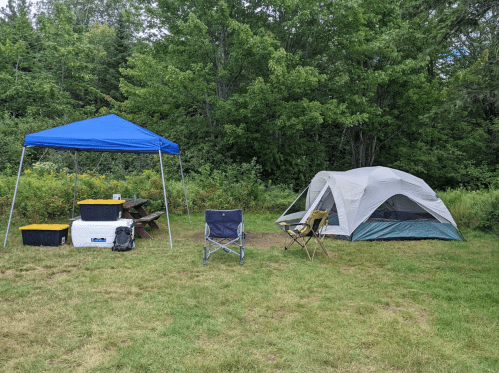 A campsite featuring a blue canopy, a tent, coolers, and folding chairs surrounded by greenery.