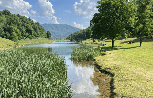 A serene landscape featuring a calm lake, lush greenery, and distant mountains under a blue sky with fluffy clouds.