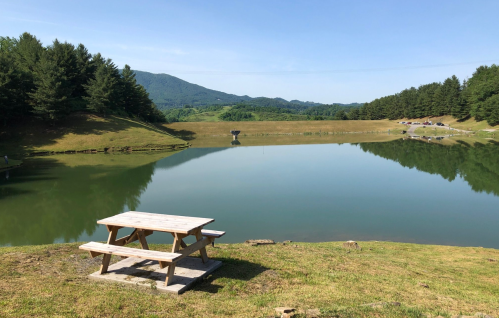 A serene lake surrounded by trees and mountains, with a picnic table in the foreground and calm water reflecting the scenery.