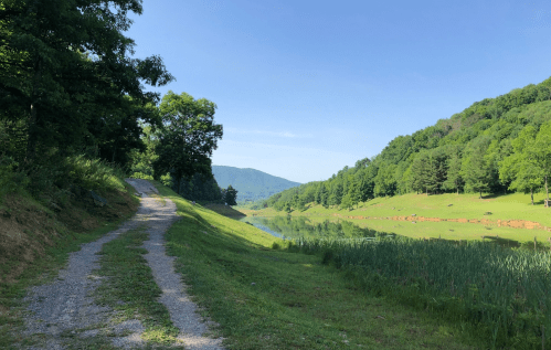 A serene landscape featuring a gravel path alongside a calm lake, surrounded by lush green hills and trees.