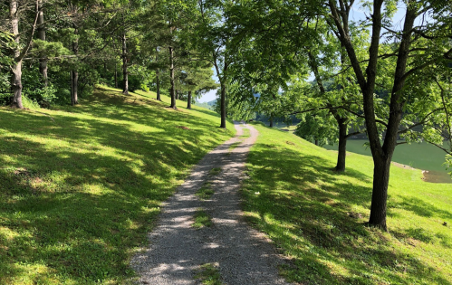 A winding gravel path through a lush green landscape with trees on either side.