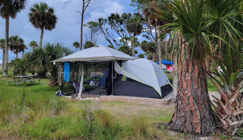 A tent set up in a grassy area surrounded by palm trees, with a picnic table and a canopy nearby.