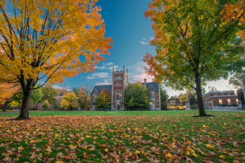 A picturesque campus scene with vibrant autumn trees and fallen leaves, featuring a historic building in the background.