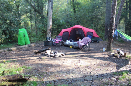 A campsite with a red tent, chairs, a hammock, and a fire pit surrounded by trees and sunlight.