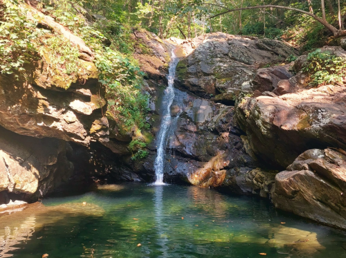 A serene waterfall cascades over rocks into a clear pool, surrounded by lush greenery in a tranquil forest setting.