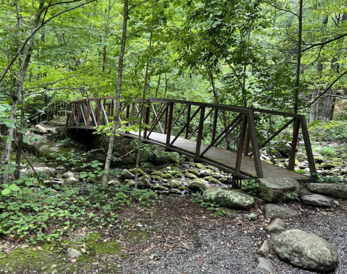 A wooden bridge spans a small stream, surrounded by lush green trees and rocky terrain.