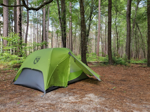 A green tent set up in a forest with tall trees and a carpet of pine needles on the ground.