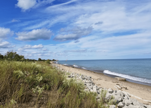 A serene beach scene with gentle waves, rocky shore, and a clear blue sky dotted with clouds. Greenery in the foreground.