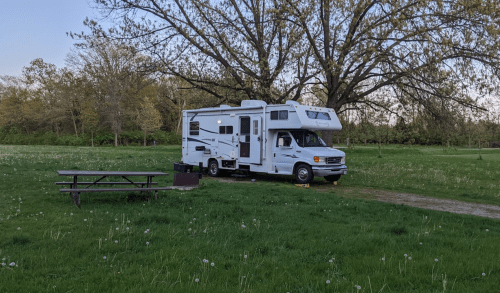 An RV parked on a grassy area near a picnic table and fire pit, surrounded by trees and dandelions.