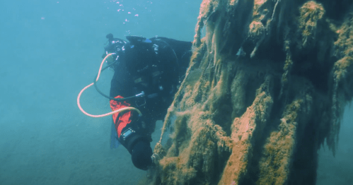 A diver explores an underwater structure covered in marine growth, surrounded by clear blue water.