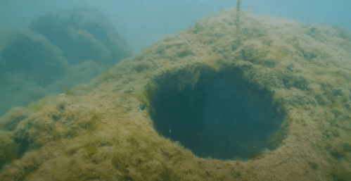 Underwater scene showing a large, circular hole in a sandy, algae-covered surface.