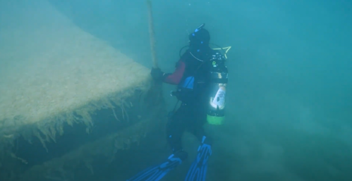 A diver exploring underwater near a large, submerged structure covered in seaweed.