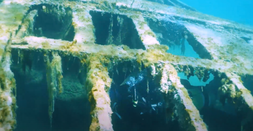 A diver explores the rusted remains of a sunken ship, surrounded by marine growth and underwater scenery.
