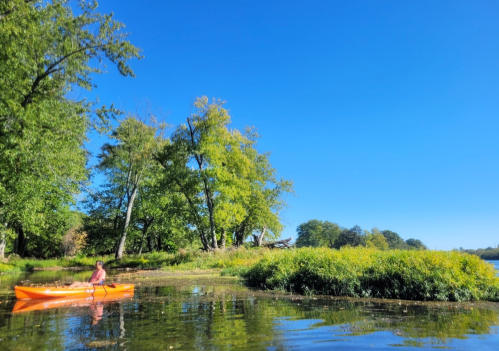 A person paddles a kayak on a calm river surrounded by lush green trees and clear blue skies.