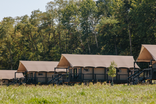 A row of glamping tents with wooden decks, set against a backdrop of trees and a grassy field.
