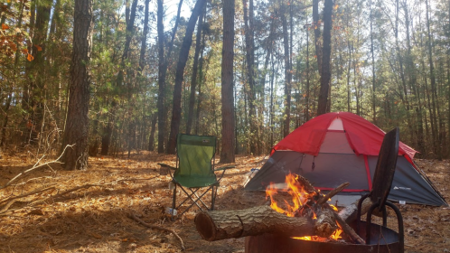 A campsite in a forest with a tent, a campfire, and a green chair surrounded by tall trees and fallen leaves.