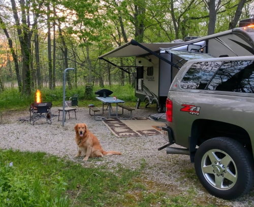 A golden retriever sits near a campsite with an RV, grill, and outdoor seating surrounded by trees.