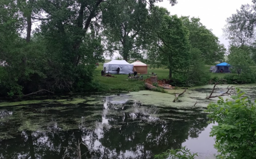 A serene scene of a pond with green algae, surrounded by trees and two tents set up on the grassy bank.