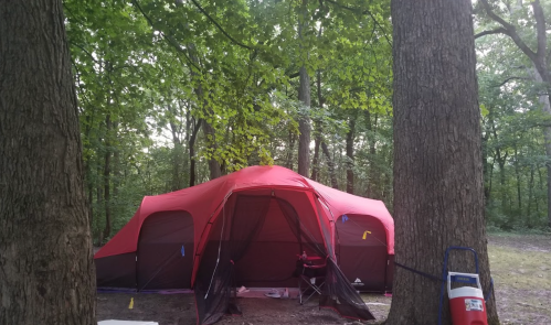 A large red tent set up in a wooded area, surrounded by trees and greenery.